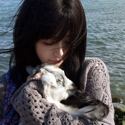 醉生梦死之湾仔之虎